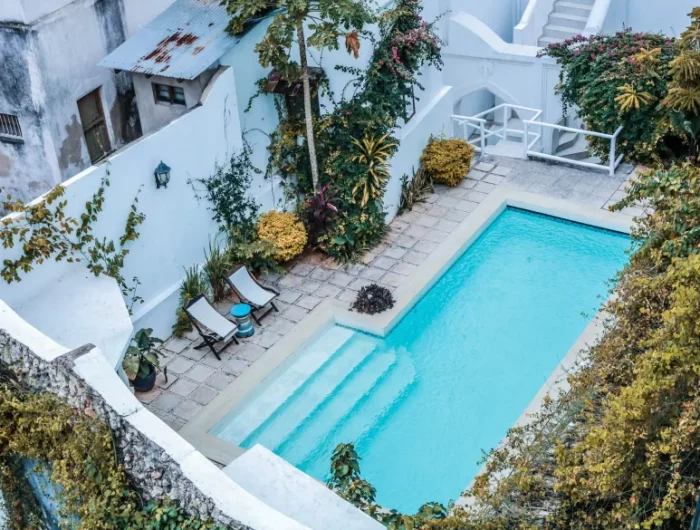 amenagement piscine avec muret et vegetation verte idée brise vue jardin piscine