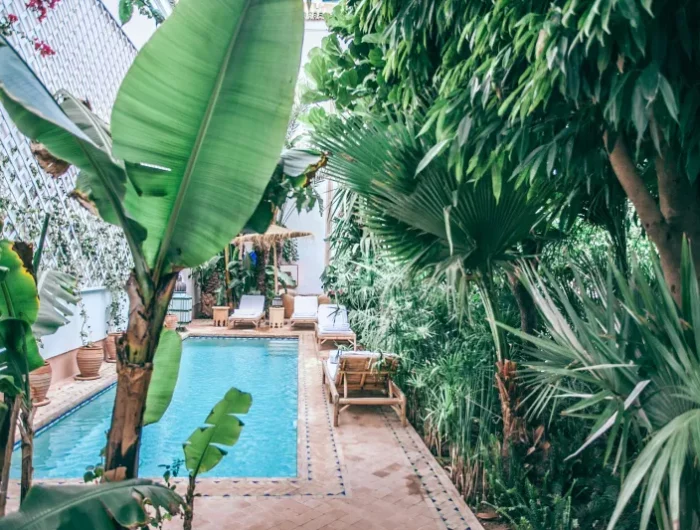 amenagement piscine enterrée avec des palmiers bananiers et autres plantes arbres exotiques autour