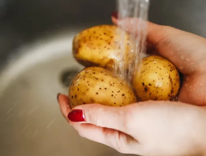 bien assortir et nettoyer des pommes de terre congelation stockage
