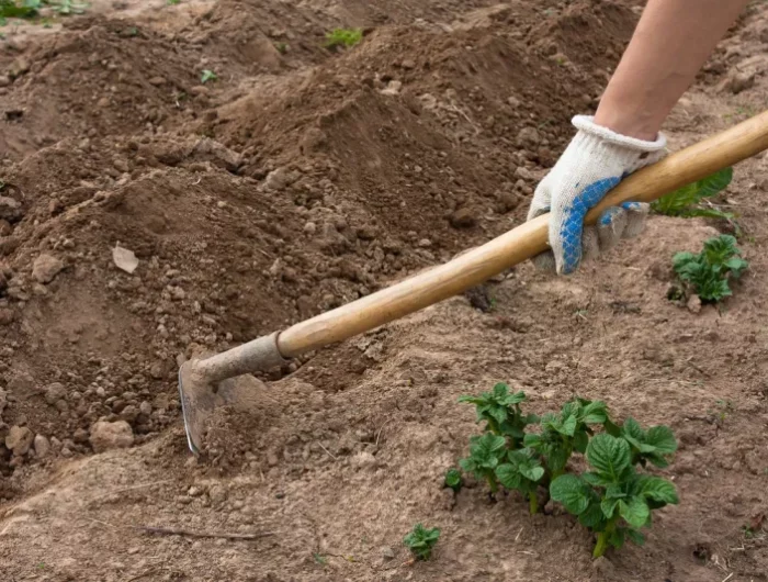 biner la terre idée comment jardiner sans eau pénurie d eau solutions