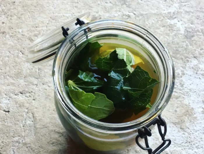 boisson feuilles de figuier feuilles de figuier dans un bocal