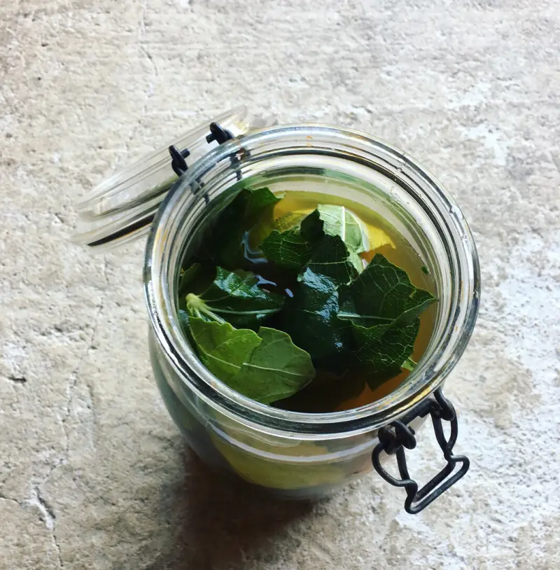 boisson feuilles de figuier feuilles de figuier dans un bocal