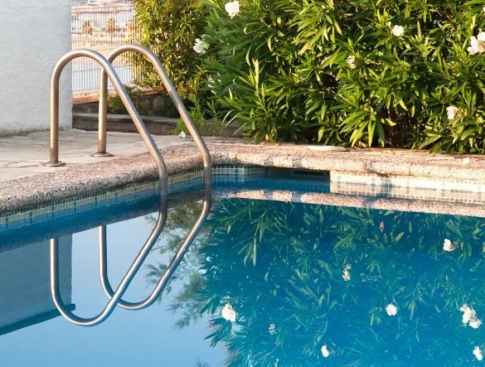 brise vue piscine mur vegetalamenagement bord piscine exemples et idées