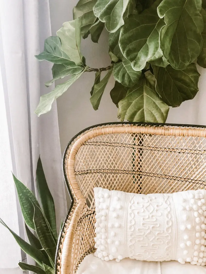 chaise rotin coussin en relief motifs blancs plantes vertes