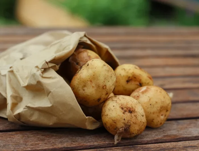 choix variete pommes de terre pour frites sac en papier legumes