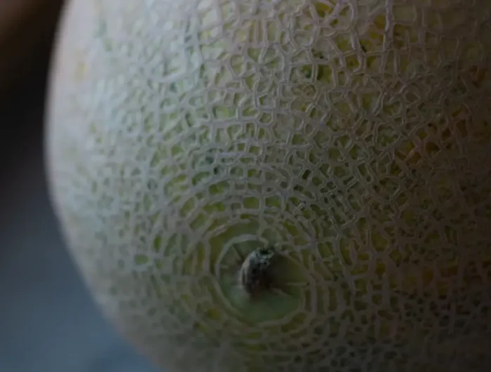 comment bien choisir son melon par sa couleur