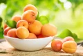 Comment faire mûrir des abricots rapidement à la maison ?