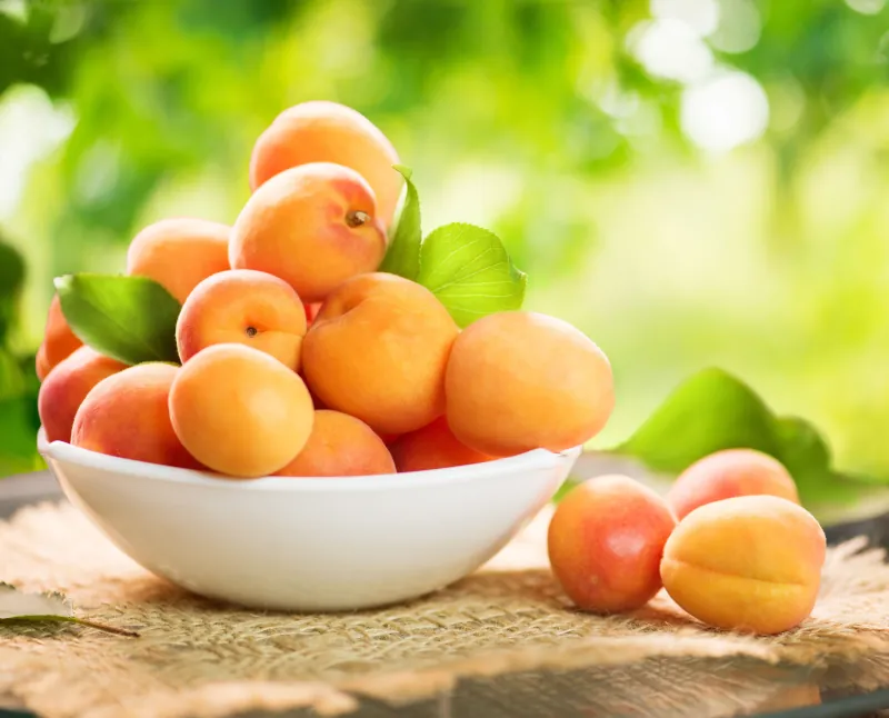 comment conserver les abricots astuces