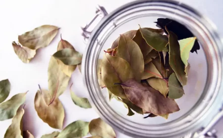 comment conserver les feuilles de laurier dans un bocal en verre