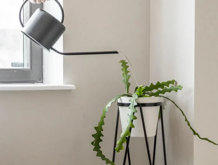 comment fabriquer un recuperateur d eau de pluie arrosage plantes interieur mur blanc