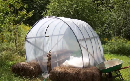 comment faire de l ombre au potager toile ombrage soleil ete