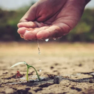 Canicule, sécheresse : Ces astuces de grand-mère pour arroser son jardin sans arrivée d'eau