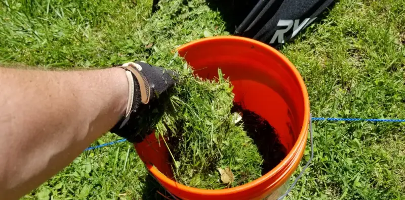 comment faire du compost avec de l herbe gazon tondu dans un seau