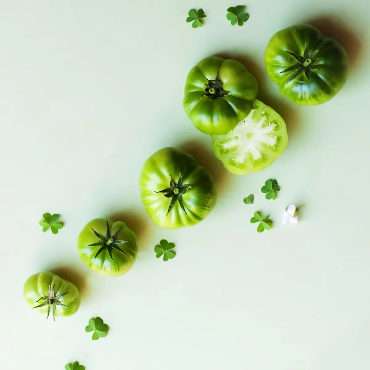 comment faire murir les tomates vertes au soleil