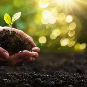Comment préparer la terre avant de semer du gazon ?