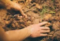 Comment préparer la terre avant de semer du gazon ?