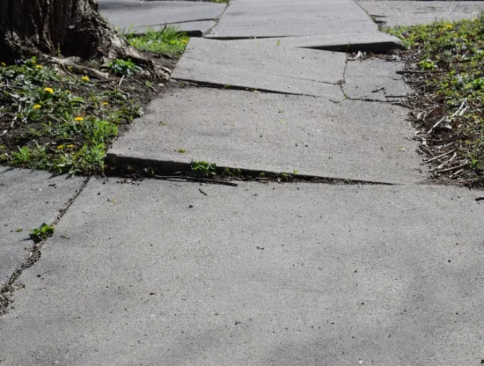 comment se debarasser des mauvaises herbes sur le trottoir beton deforme par un arbre