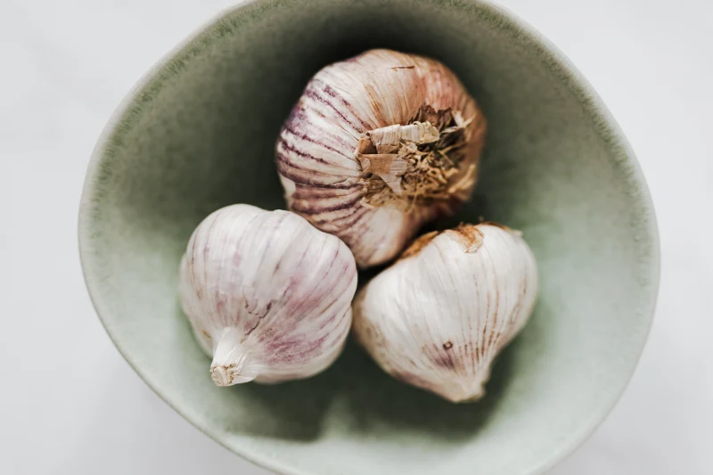 comment se debarraser des pucerons avec du liquide vaissell et bol ail