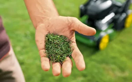 comment se debarrasser de l herbe tondue pelouse coupee dans la main