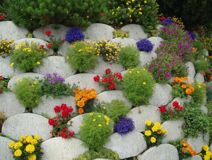 composer massif plantes vivaces a planter roccaille avec fleurs differente couleurs