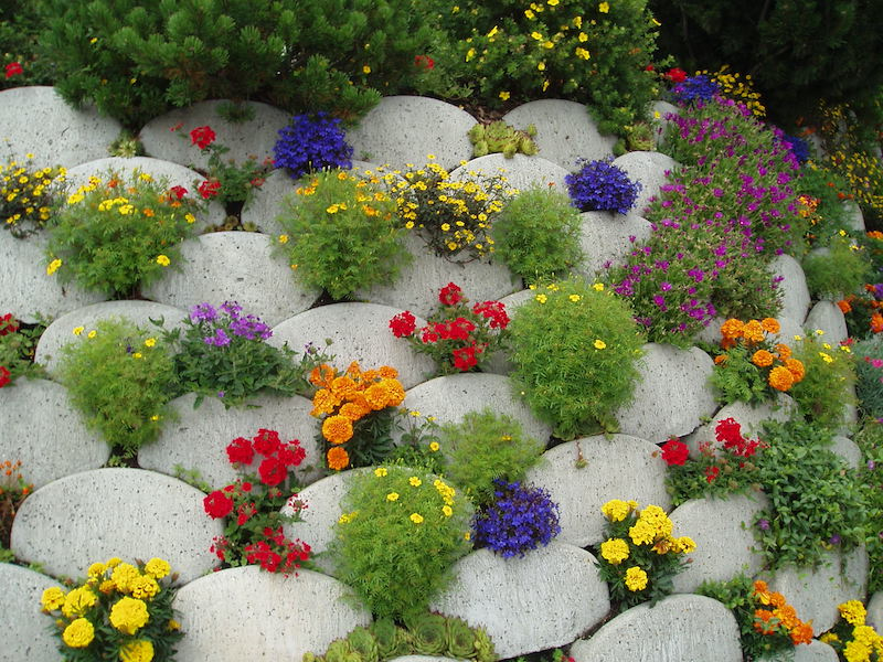 composer massif plantes vivaces a planter roccaille avec fleurs differente couleurs