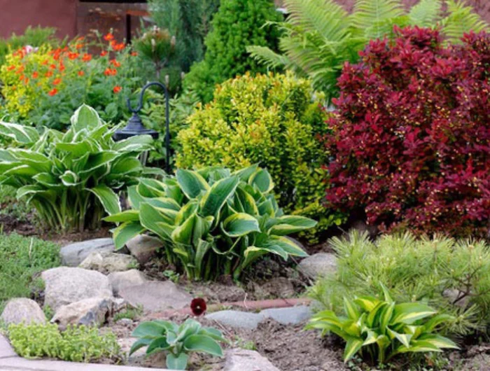 composer massif plantes vivaces blanches hostas dans un massif