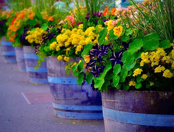 composition florale en pot exterieur dans des bacs recyclés avec fleurs colorées