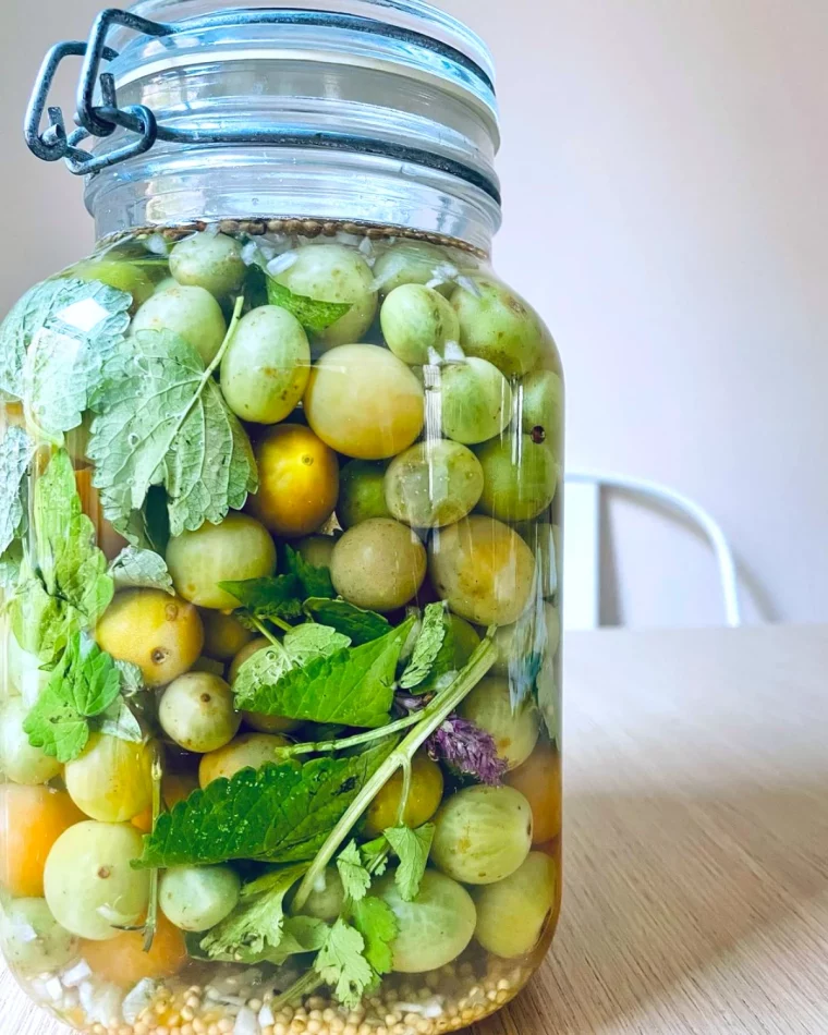 conserves de tomates vertes sans sterelisation dans un bocal en verre