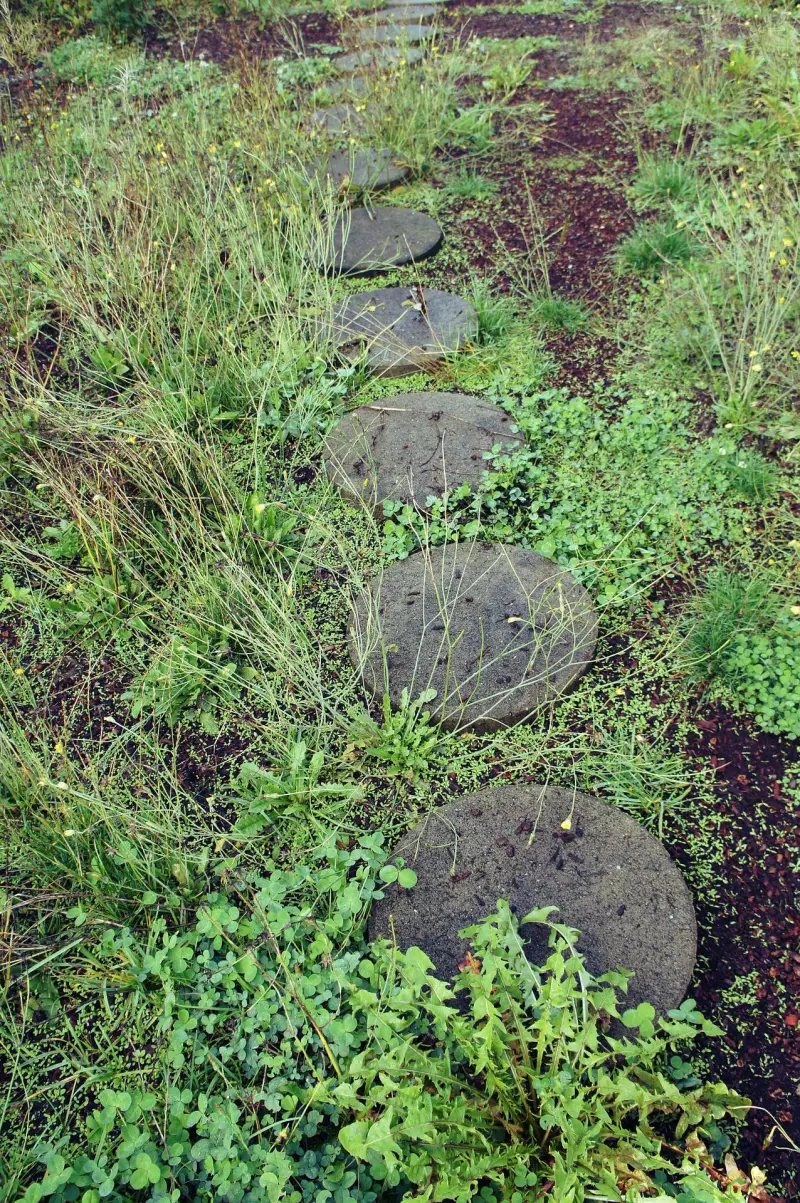 dalles ciment jardin mauvaises herbes solutions produits naturels