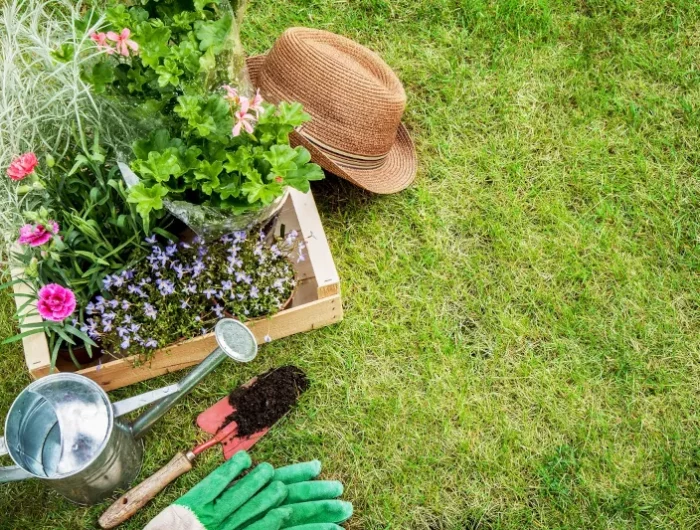 debutant en jardinage pratiques et conseils