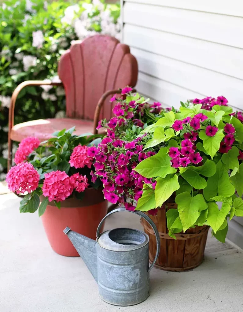 déco avec des pots de fleurs de la meme couleur sur terrasse