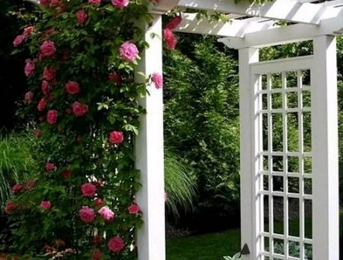 fabriquer un support pour rosier grimpant ancien ou à planter arche blanche rosier rose
