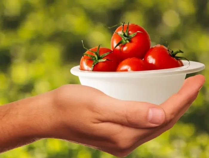 faire murir des tomates vertes au soleil un bol de tomates rouges