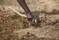 Comment préparer la terre avant de semer du gazon ?