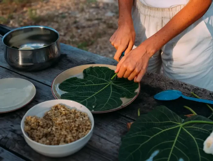 feuilles de figuier farcies preparer des dolmades a la grecque