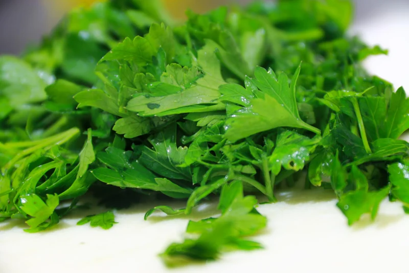 fresh parsley leaves refrigerator preservation aromatic herbs