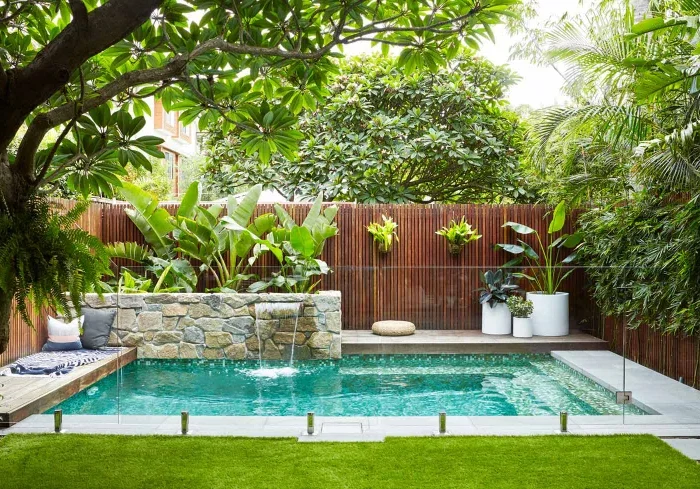 figuier palmier et autres plantes quelle plantation autour d une piscine choisir