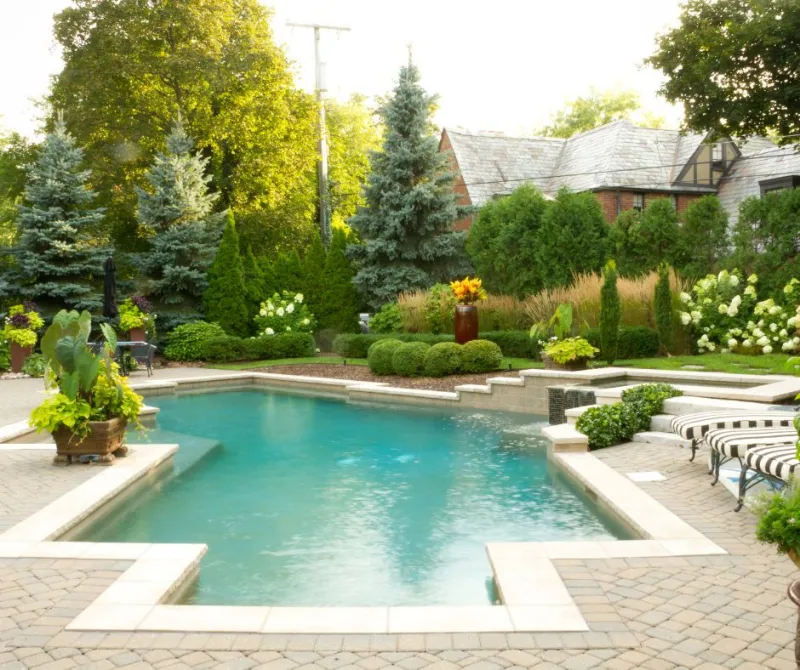 jardin symetrique et structuré quelle plante autour piscine choisir