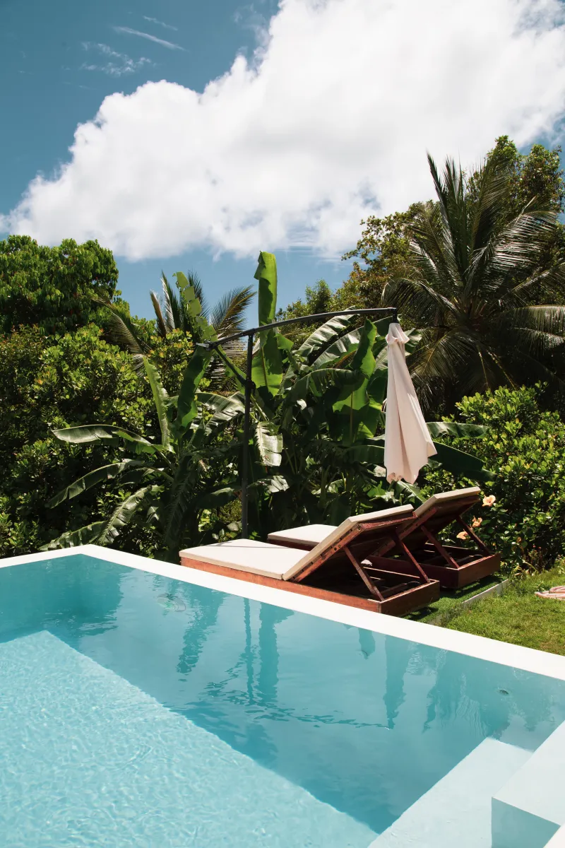 massif palmier bananier autour d une piscine vegetation luxuriante