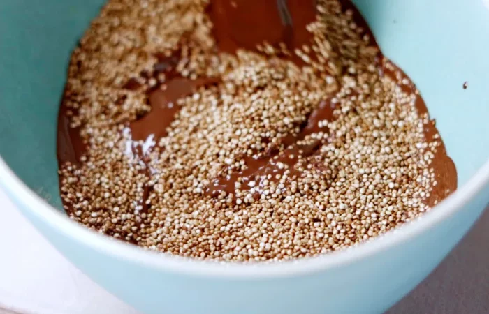 melange quinoa souffle chocolat noir fondu extrait de vanille bol turquoise