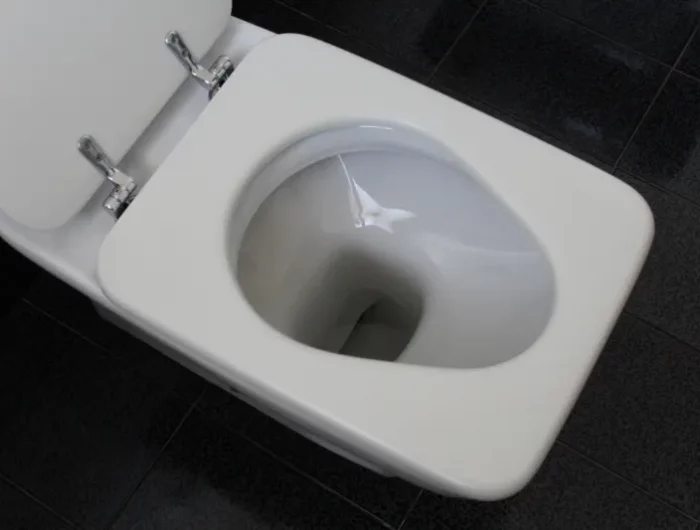 nettoyage siege toilette ceramique ou plastique produits maison