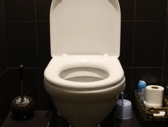nettoyage wc toilette carrelage noir produits enlever taches jaunes