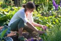 Voici les nombreux bienfaits du jardinage sur la santé