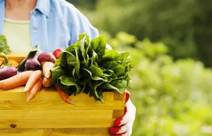 planter des fruits et legumes dans son propre jardin
