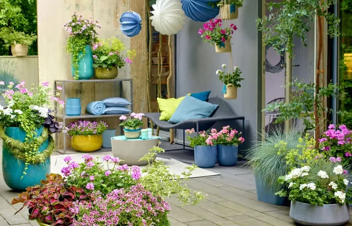 plantes d extérieur pour terrasse petits et grands pots de fleurs decoration bord de mer chromatique