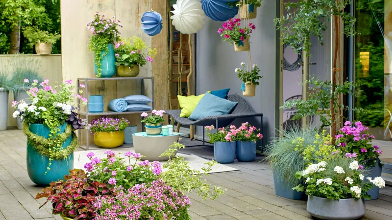 plantes d extérieur pour terrasse petits et grands pots de fleurs decoration bord de mer chromatique