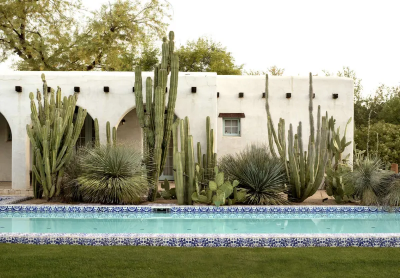 plantes succulents et cactus autour d une piscine creusée style marocain