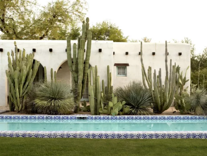 plantes succulents et cactus autour d une piscine creusée style marocain