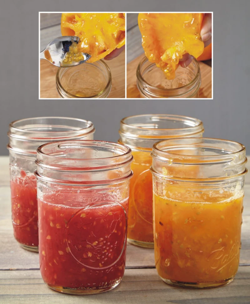 pot graines tomate matiere gelifiante fermentation processus