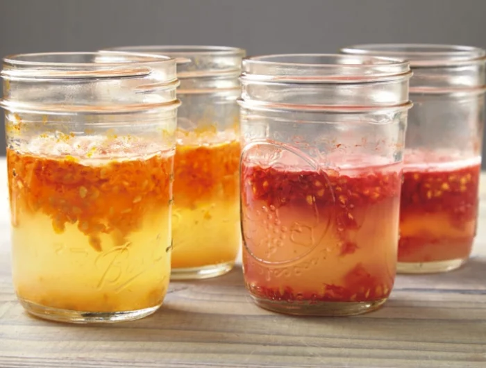 pots verre eau gel tomates graines fermentation